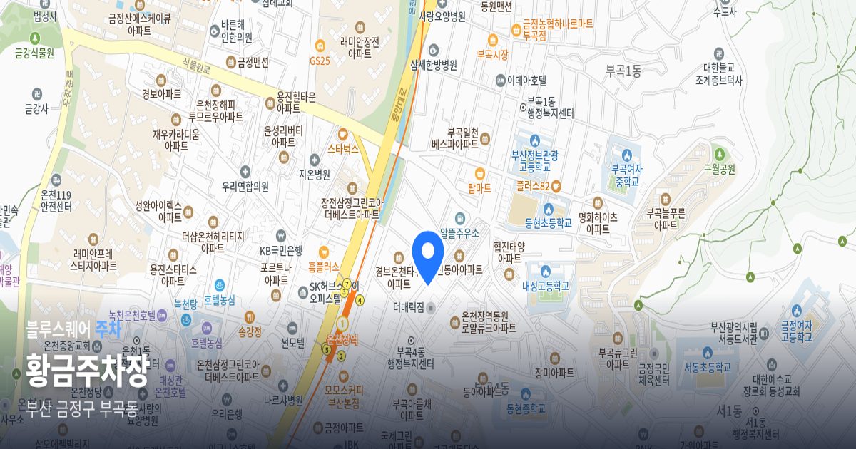 황금주차장 위치 지도