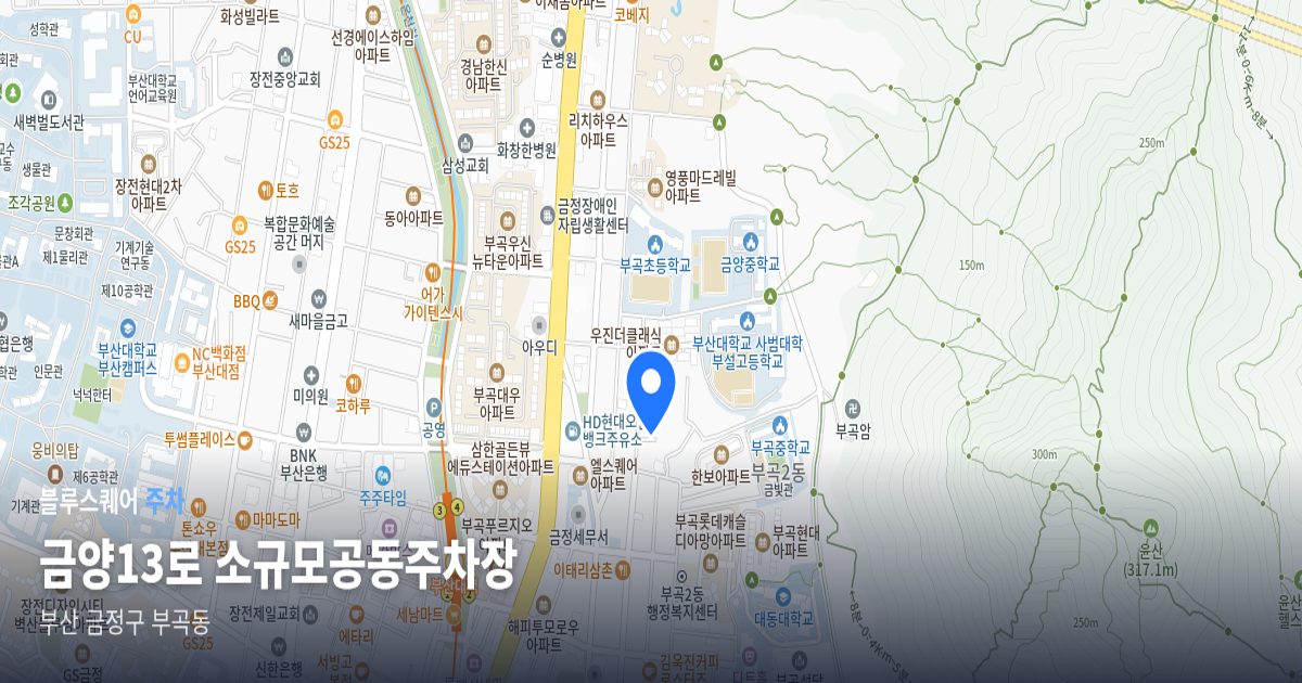 금양13로 소규모공동주차장 위치 지도
