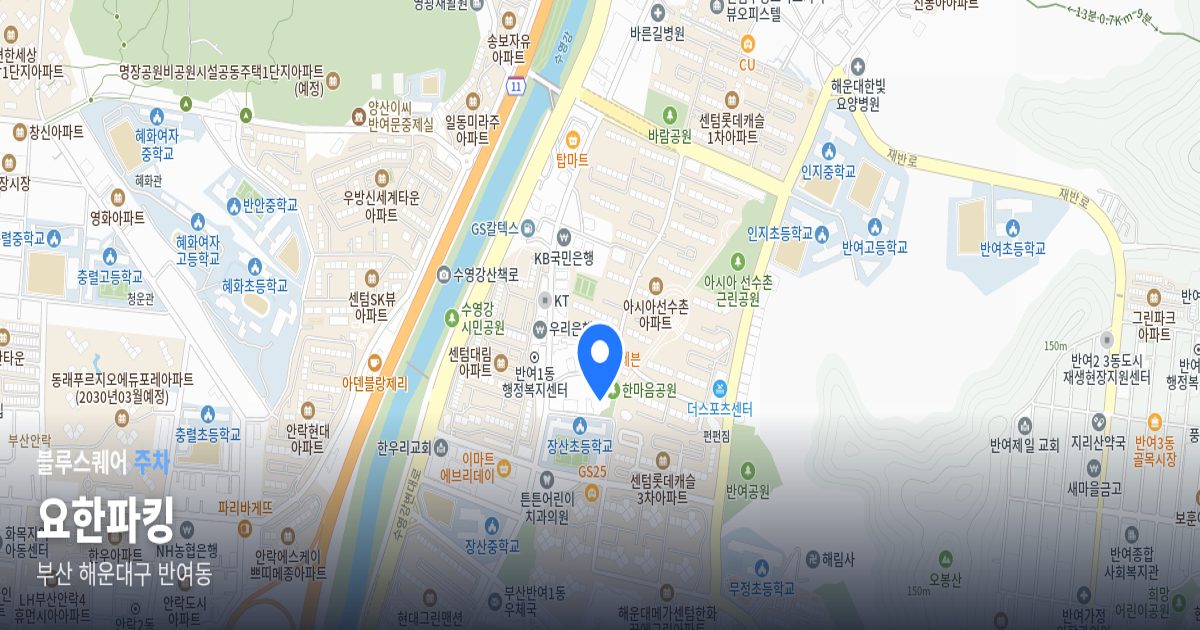 요한파킹 위치 지도