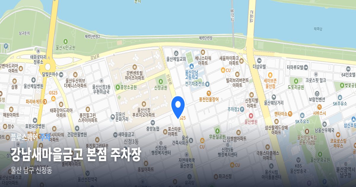 강남새마을금고 본점 주차장 위치 지도