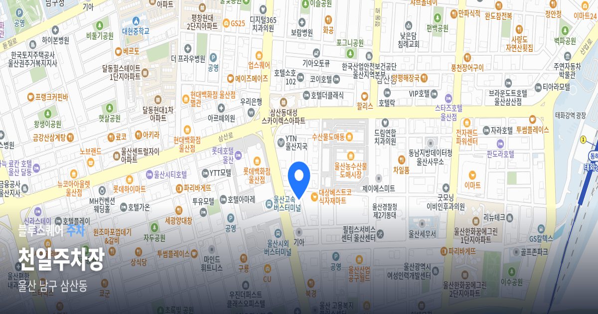 천일주차장 위치 지도