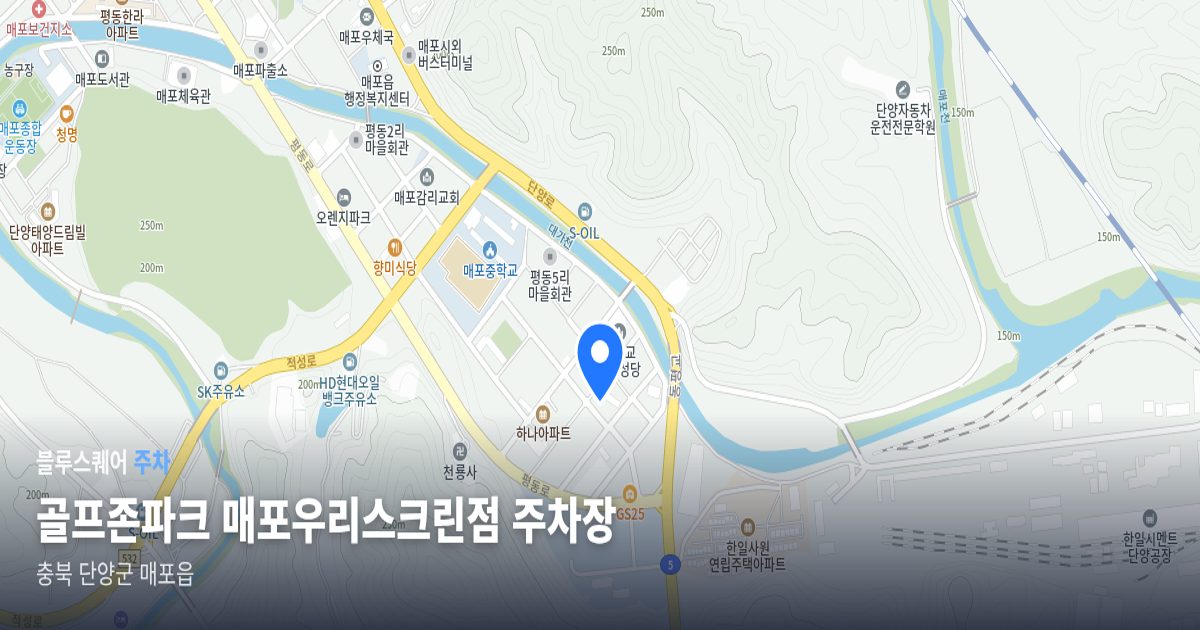 골프존파크 매포우리스크린점 주차장 위치 지도
