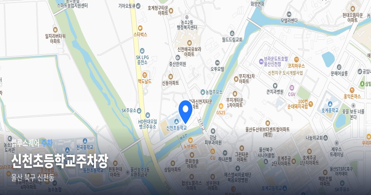 신천초등학교주차장 위치 지도
