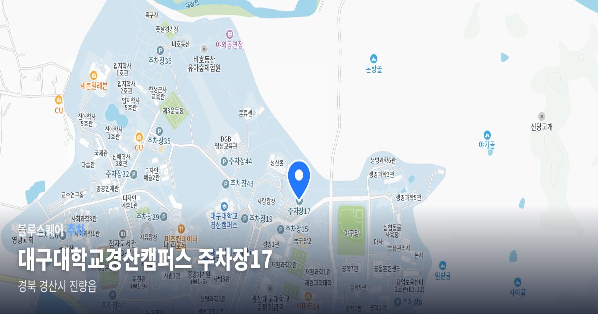 대구대학교경산캠퍼스 주차장17 위치 지도
