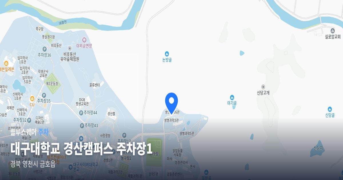 대구대학교 경산캠퍼스 주차장1 위치 지도