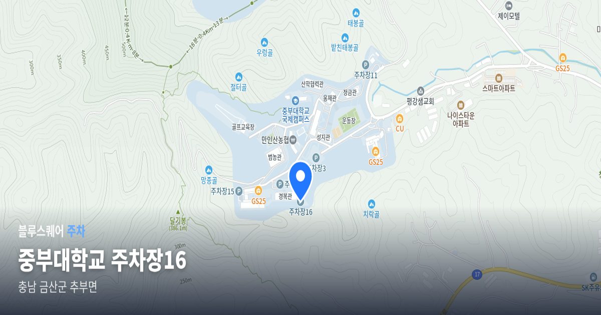 중부대학교 주차장16 위치 지도