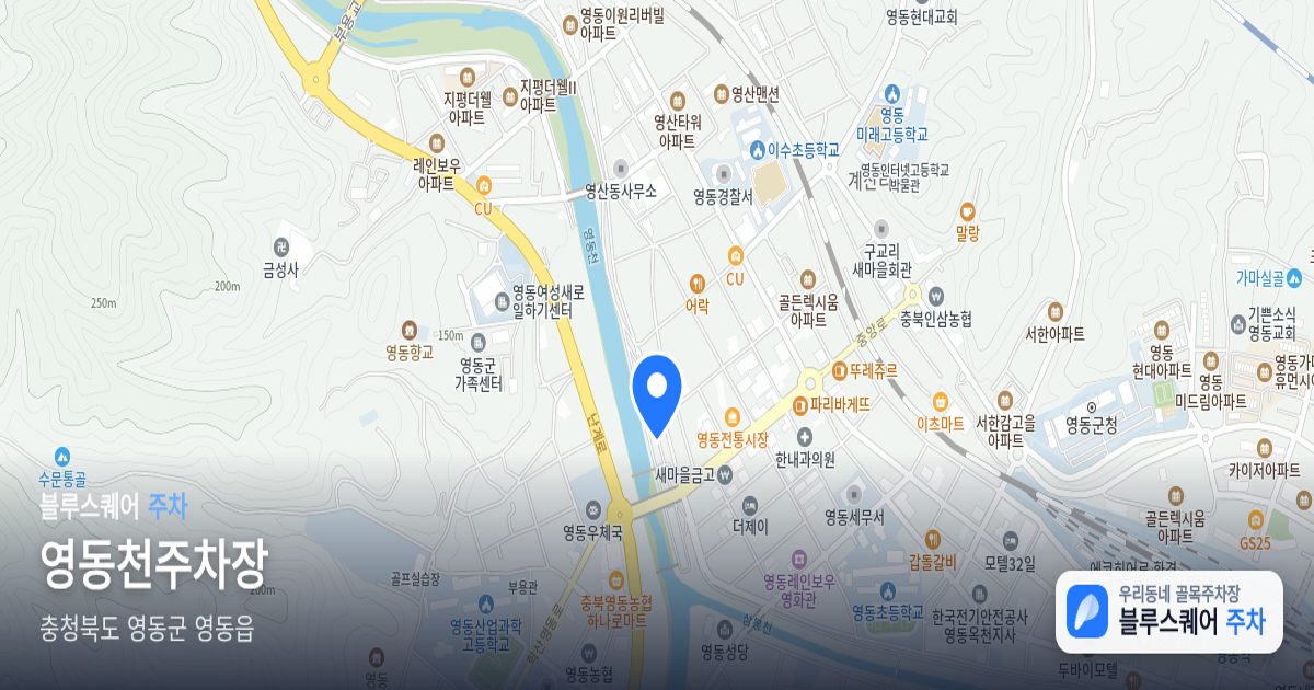 영동천주차장 위치 지도