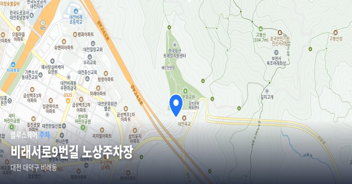 비래서로9번길 노상주차장 위치 지도