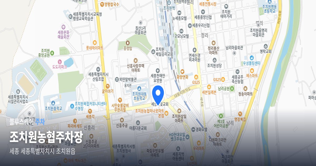조치원농협주차장 위치 지도