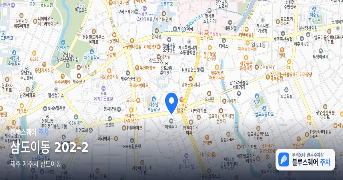 삼도이동 202-2 위치 지도