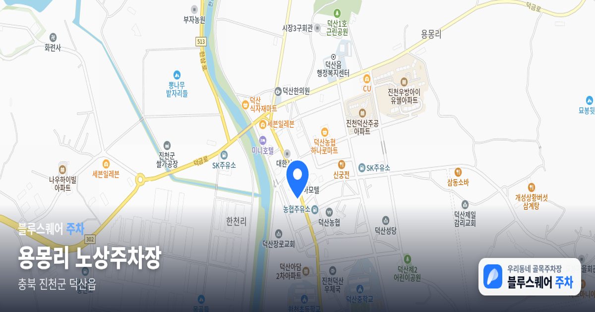 용몽리 노상주차장 위치 지도