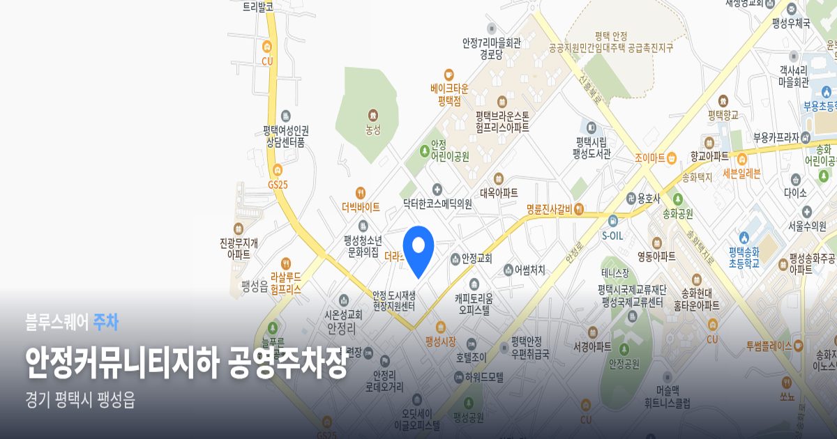 안정커뮤니티지하 공영주차장 위치 지도