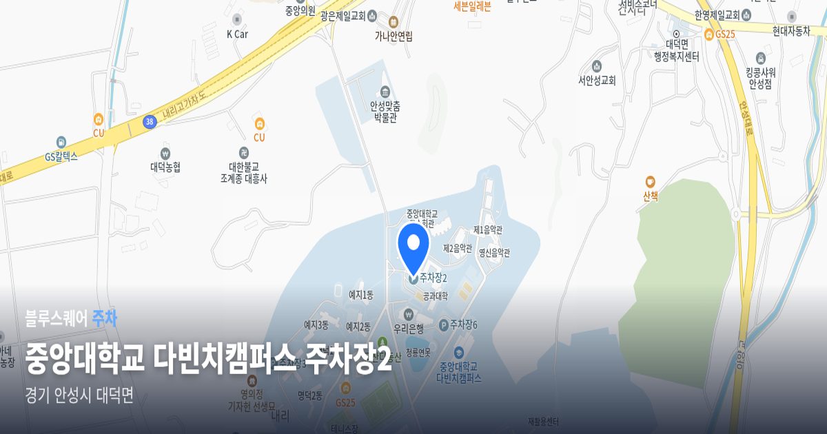 중앙대학교 다빈치캠퍼스 주차장2 위치 지도
