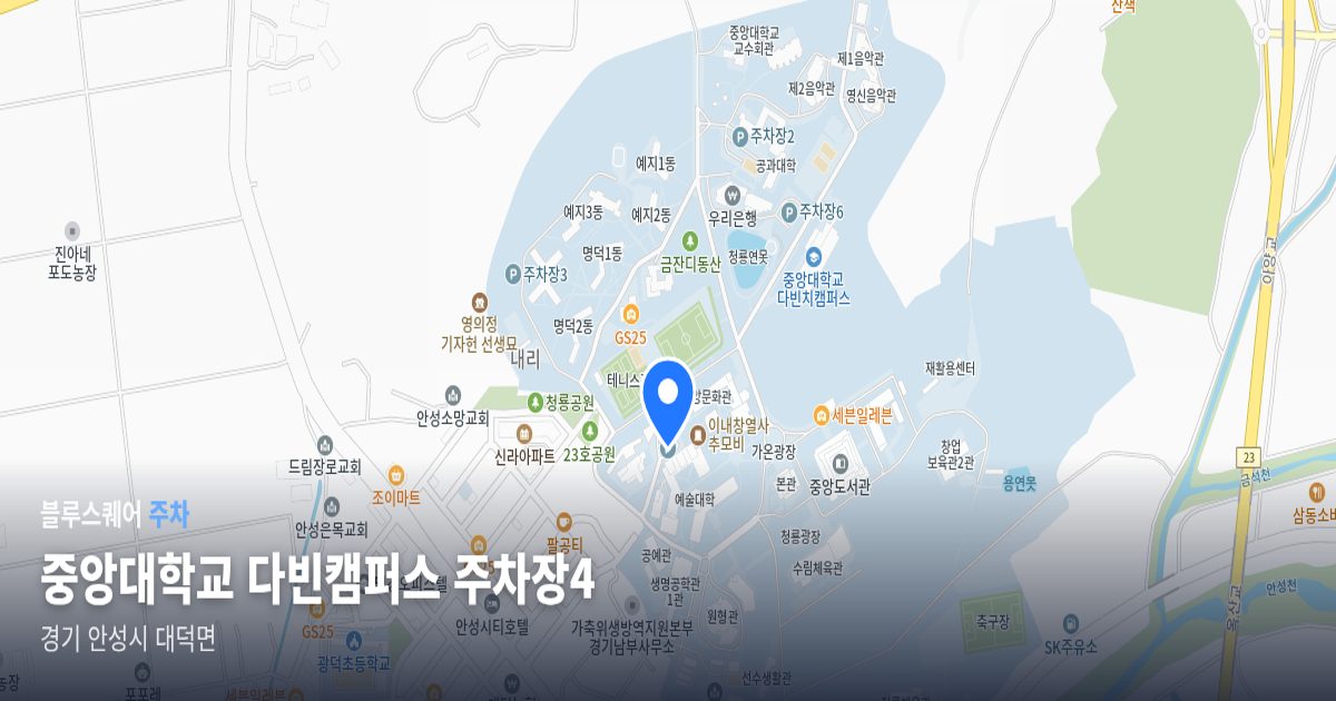 중앙대학교 다빈캠퍼스 주차장4 위치 지도