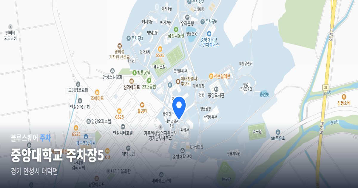 중앙대학교 주차장5 위치 지도