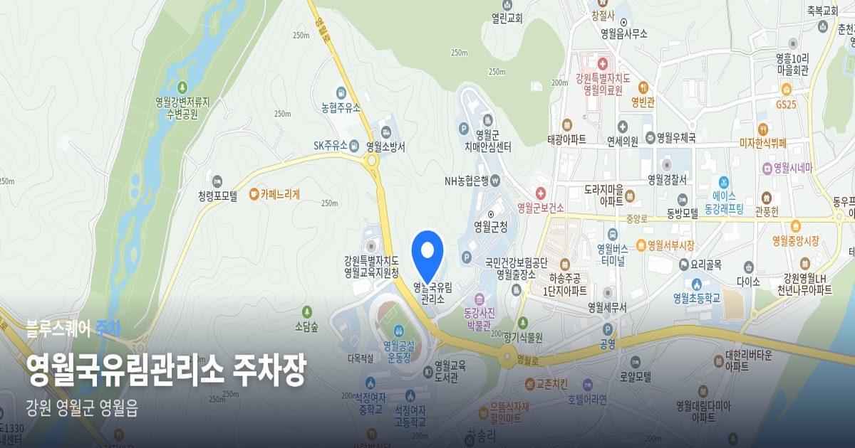 영월국유림관리소 주차장 위치 지도