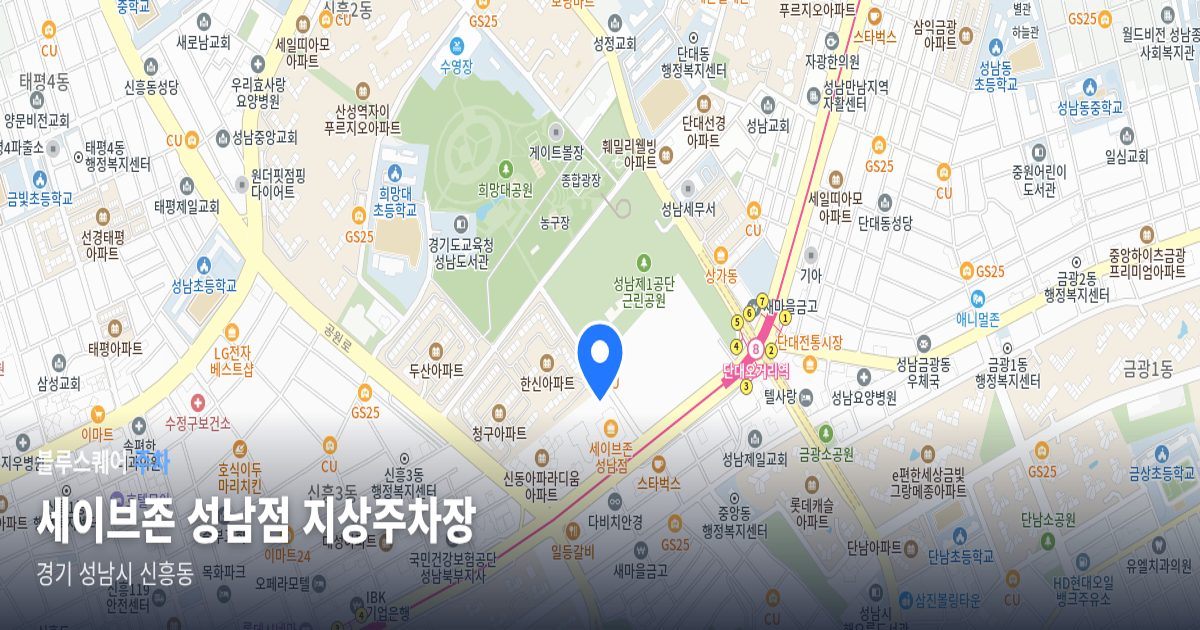 세이브존 성남점 지상주차장 위치 지도