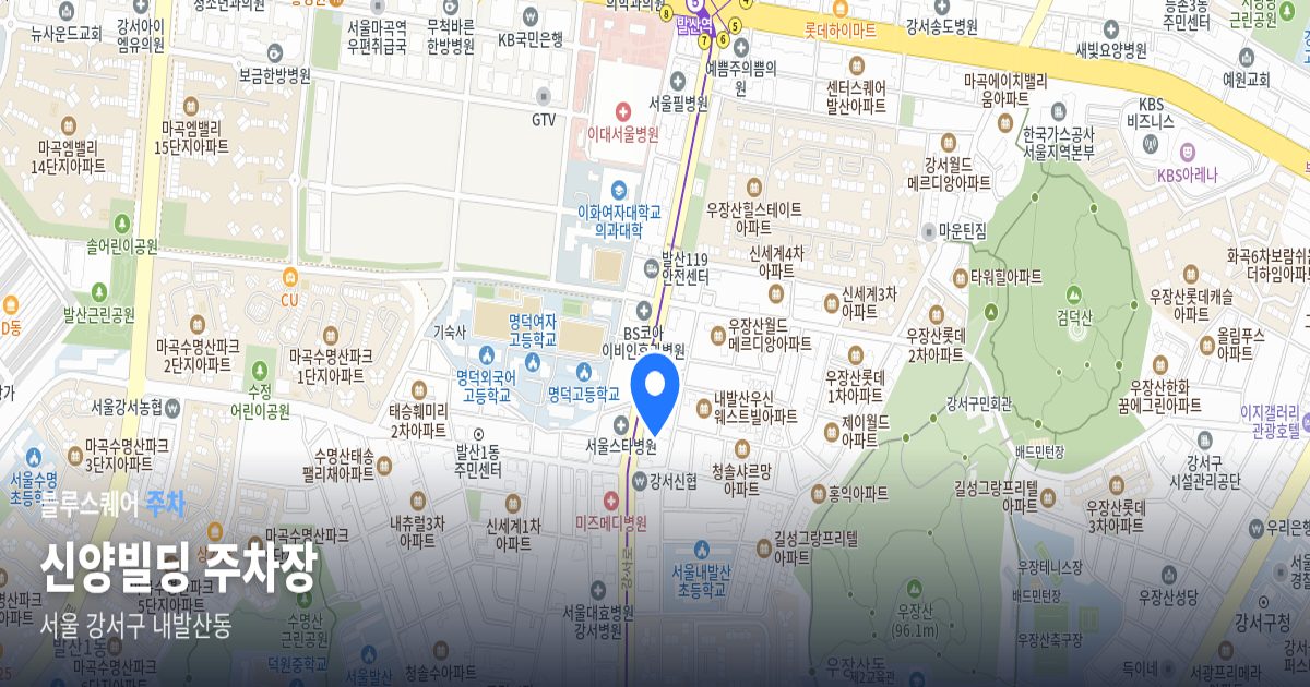 신양빌딩 주차장 위치 지도