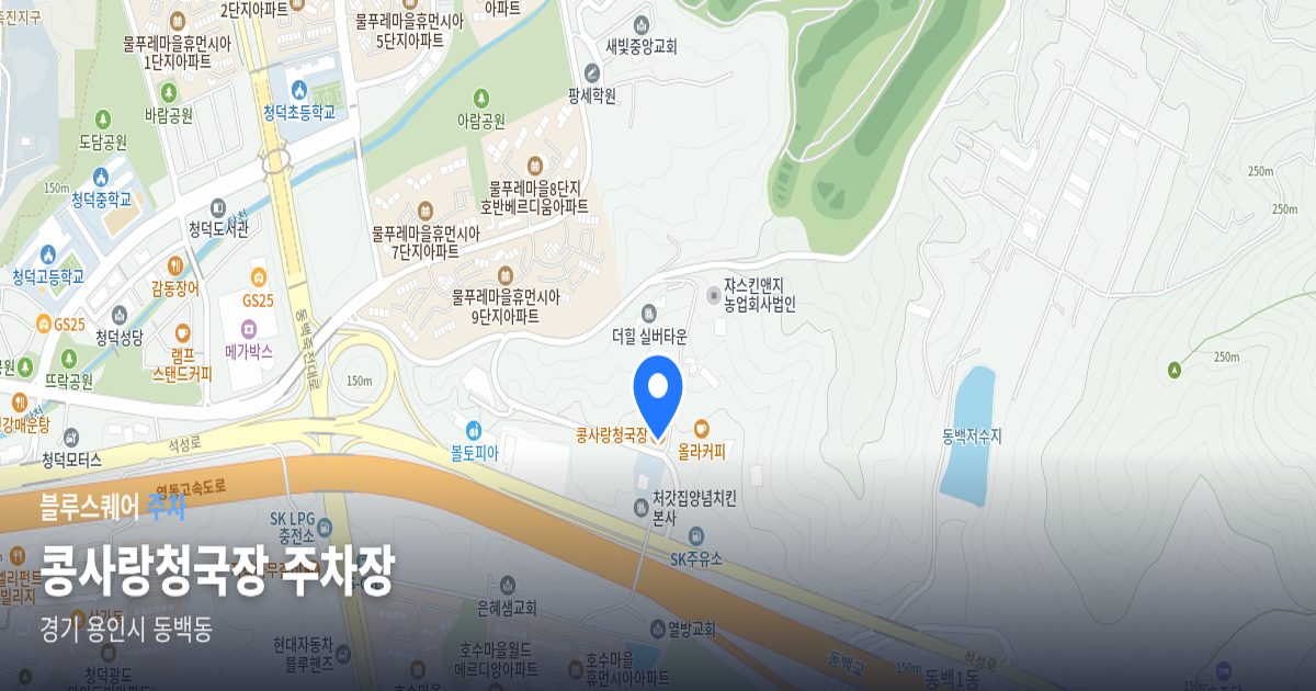 콩사랑청국장 주차장 위치 지도
