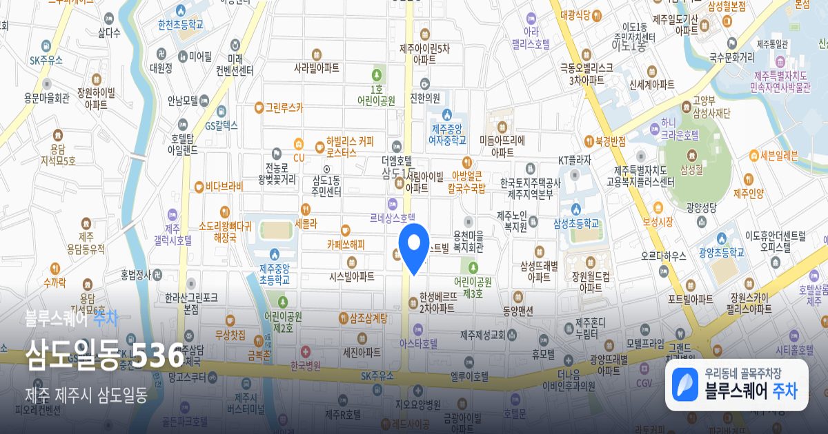 삼도일동 536 위치 지도