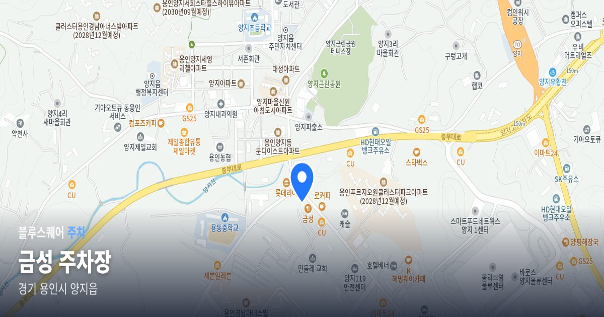 금성 주차장 위치 지도