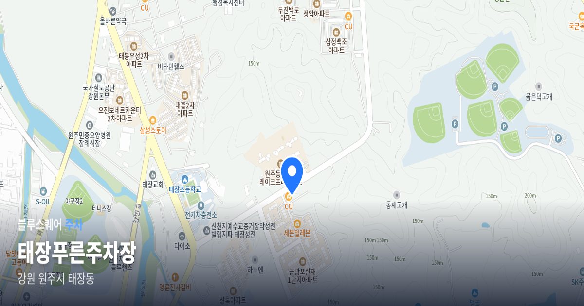 태장푸른주차장 위치 지도