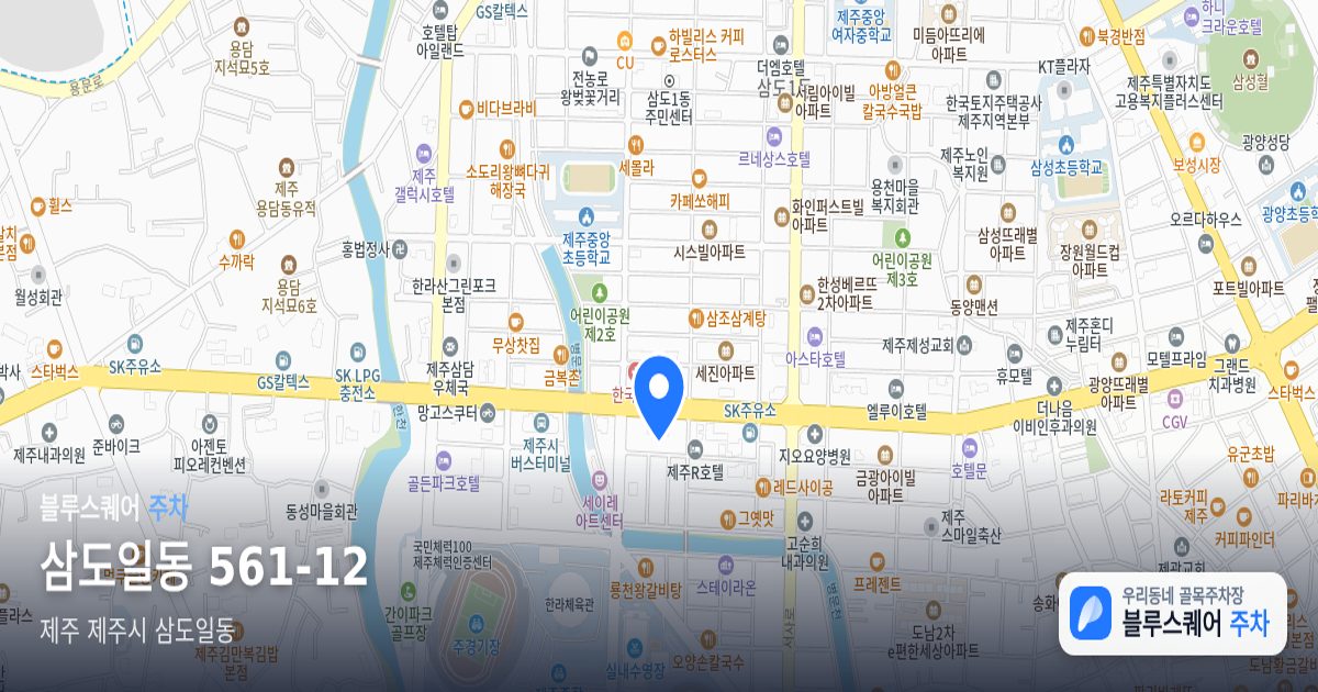 삼도일동 561-12 위치 지도