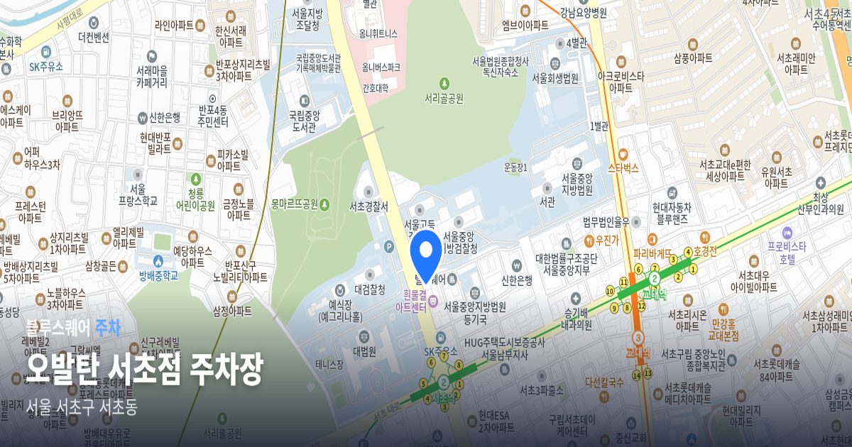 오발탄 서초점 주차장 위치 지도