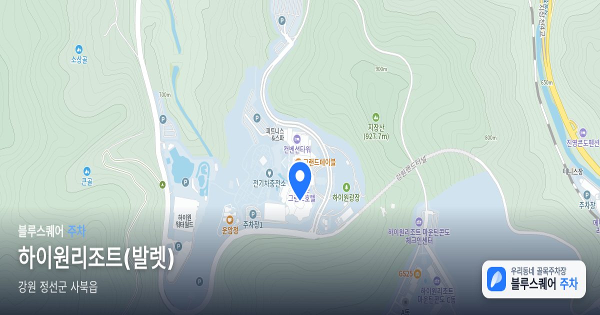 하이원리조트(발렛) 위치 지도