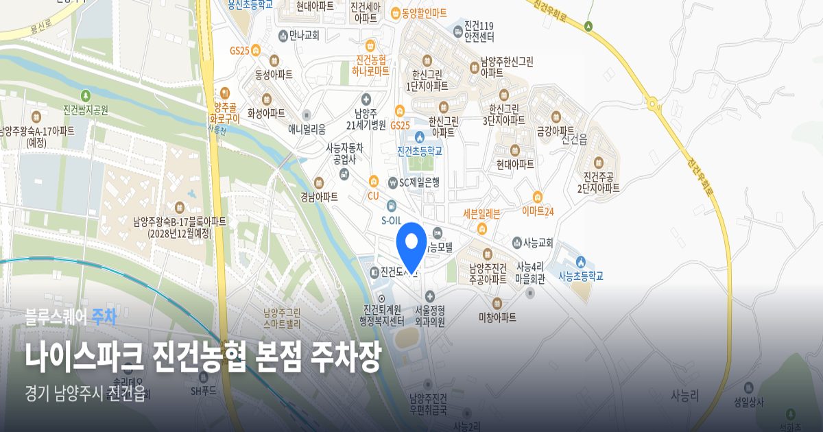 나이스파크 진건농협 본점 주차장 위치 지도