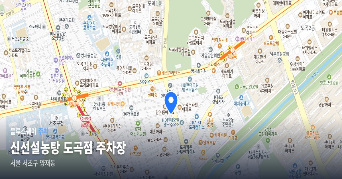 신선설농탕 도곡점 주차장 위치 지도