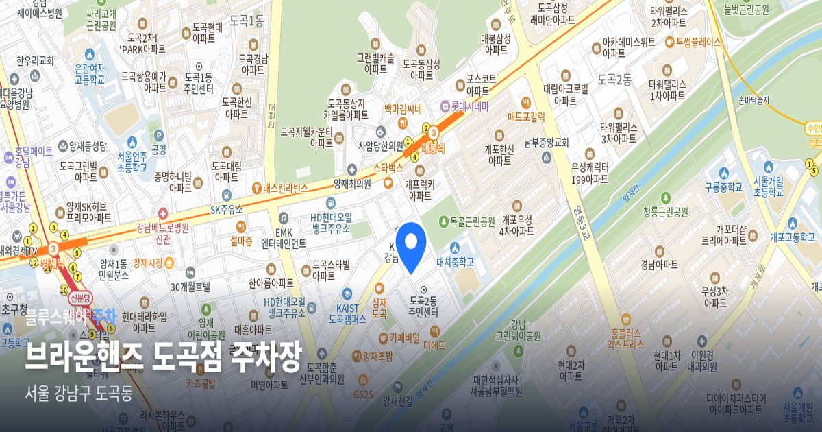 브라운핸즈 도곡점 주차장 위치 지도