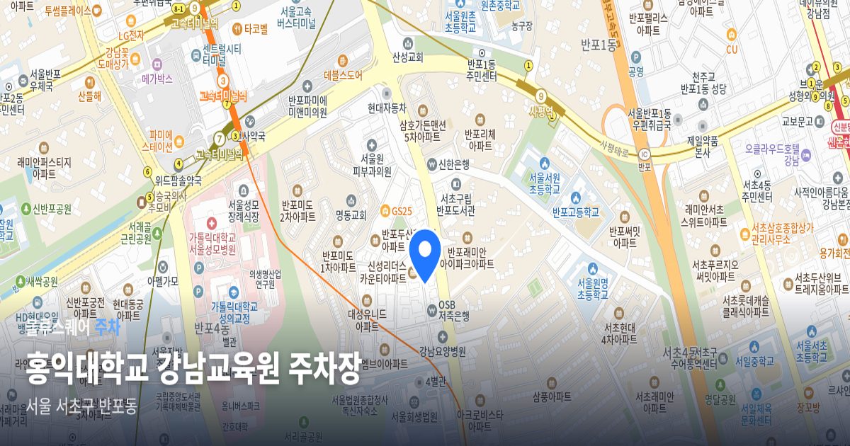 홍익대학교 강남교육원 주차장 위치 지도