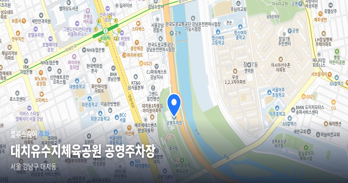 대치유수지체육공원 공영주차장 위치 지도