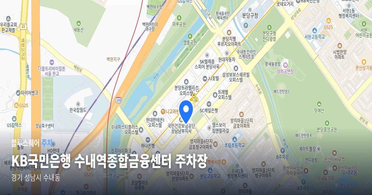KB국민은행 수내역종합금융센터 주차장 위치 지도