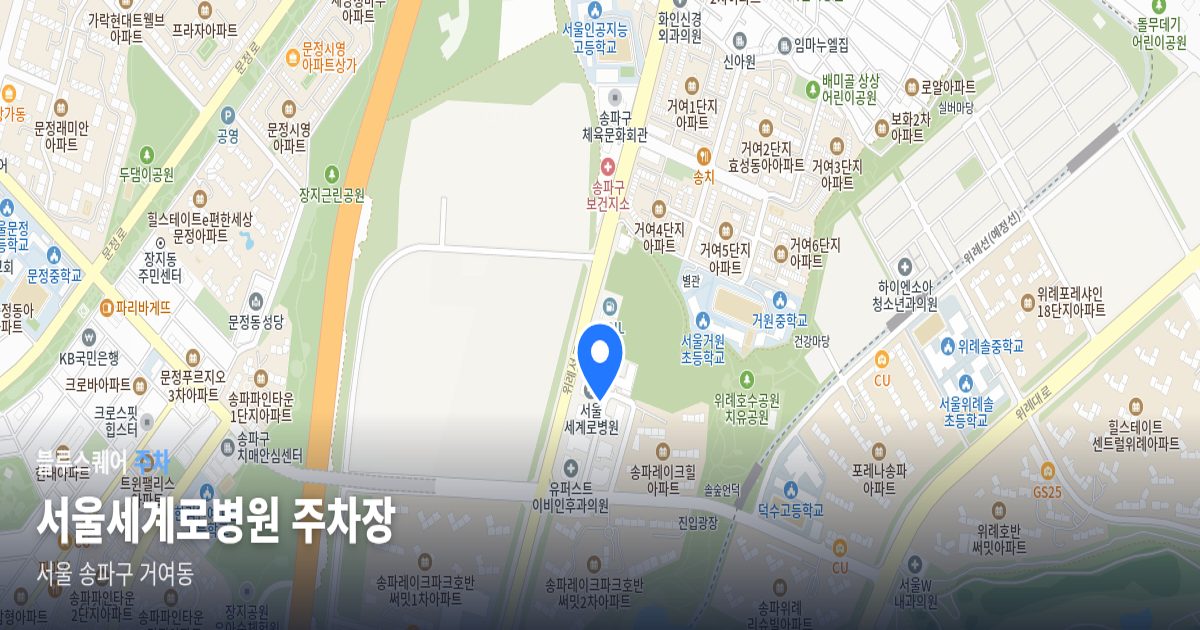 서울세계로병원 주차장 위치 지도