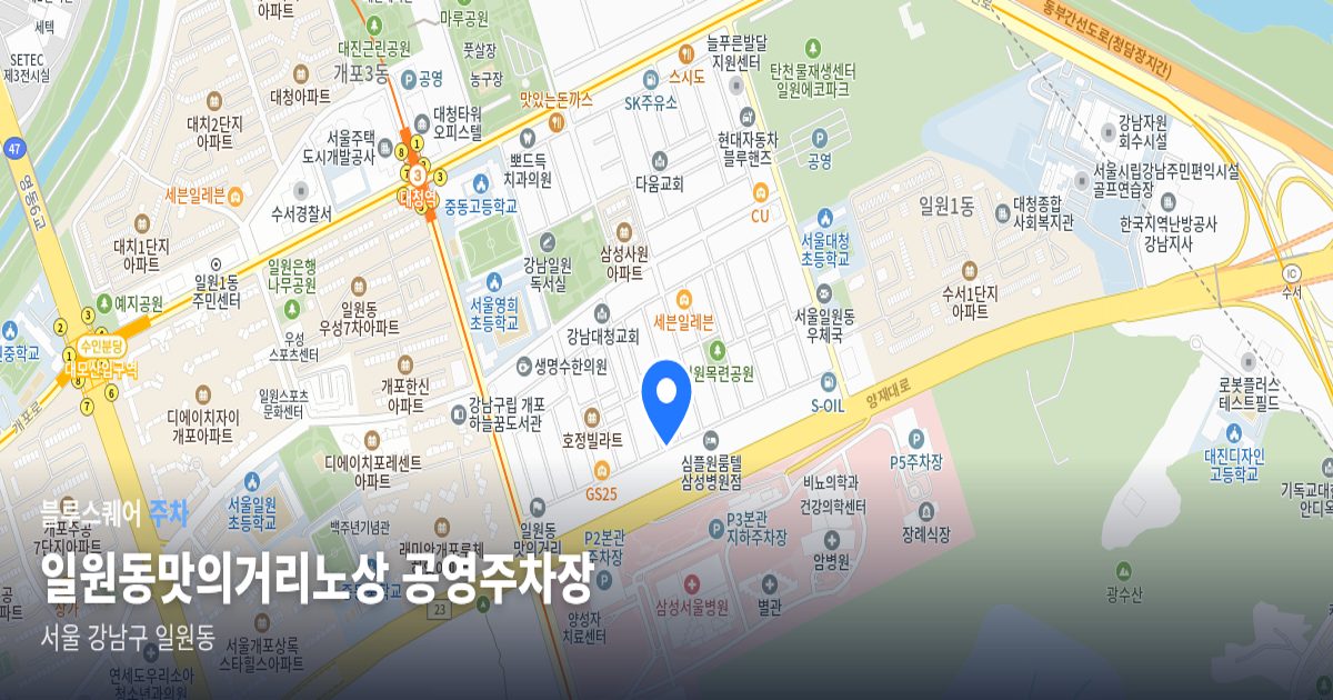 일원동맛의거리노상 공영주차장 위치 지도