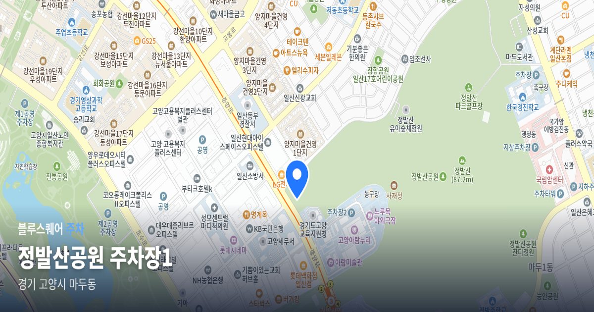 정발산공원 주차장1 위치 지도