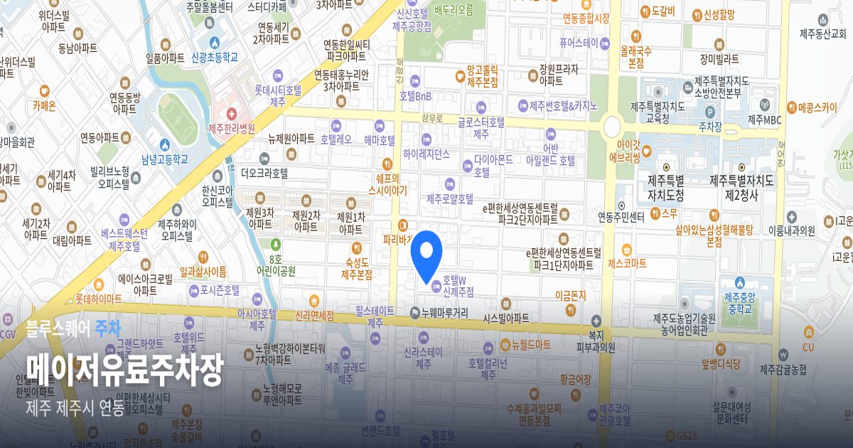 메이저유료주차장 위치 지도