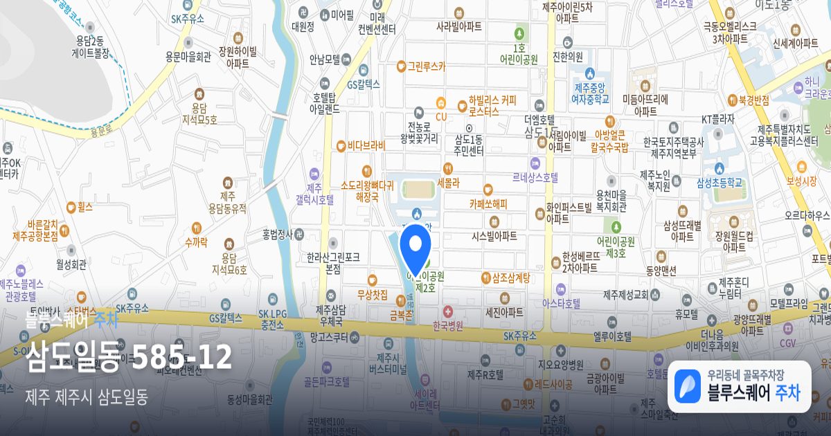 삼도일동 585-12 위치 지도