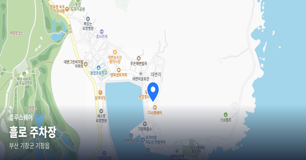 흘로 주차장 위치 지도