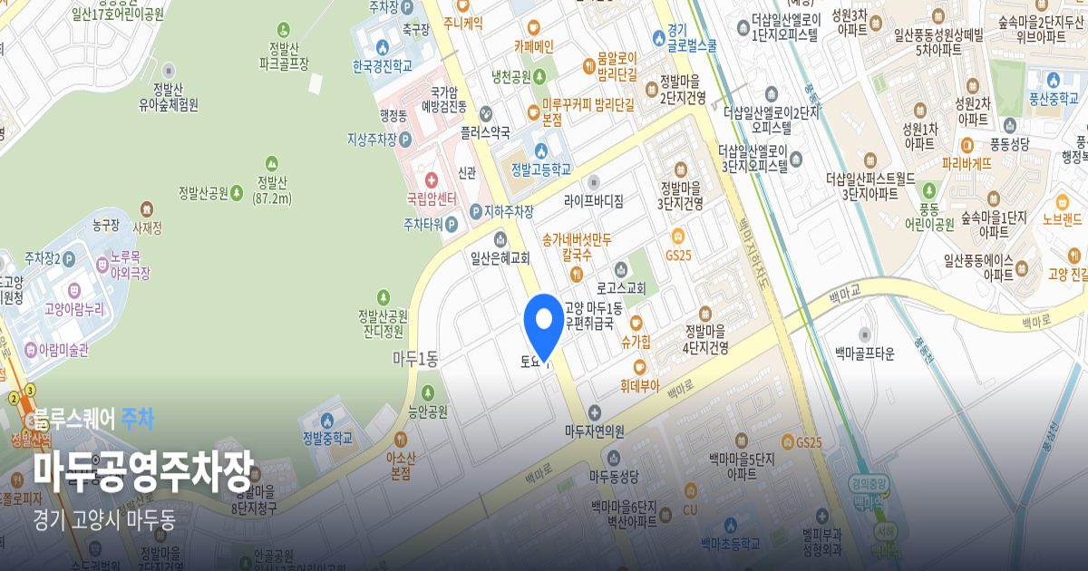 마두공영주차장 위치 지도
