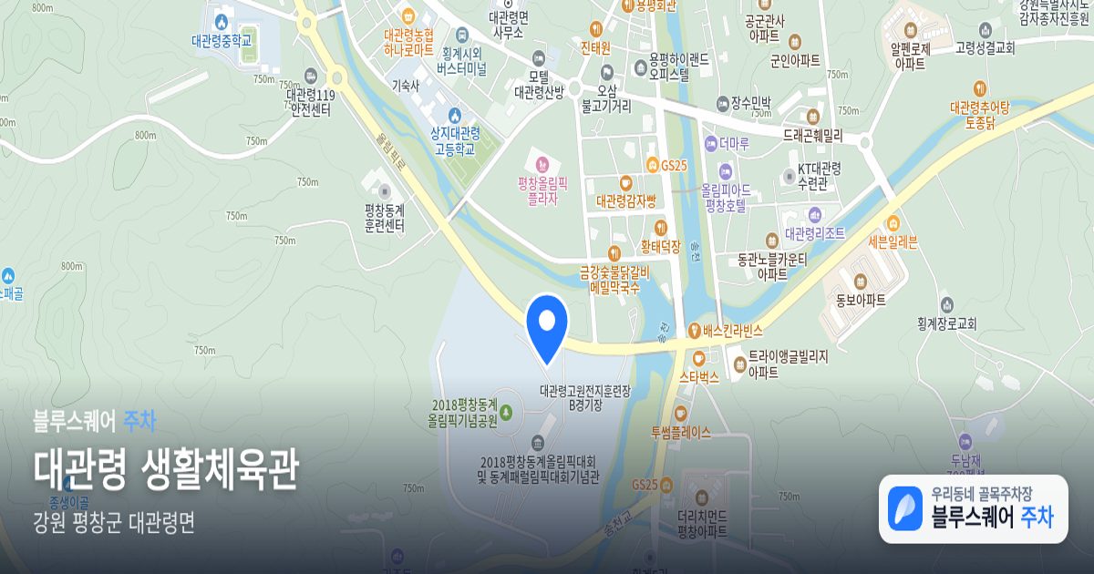 대관령 생활체육관 위치 지도