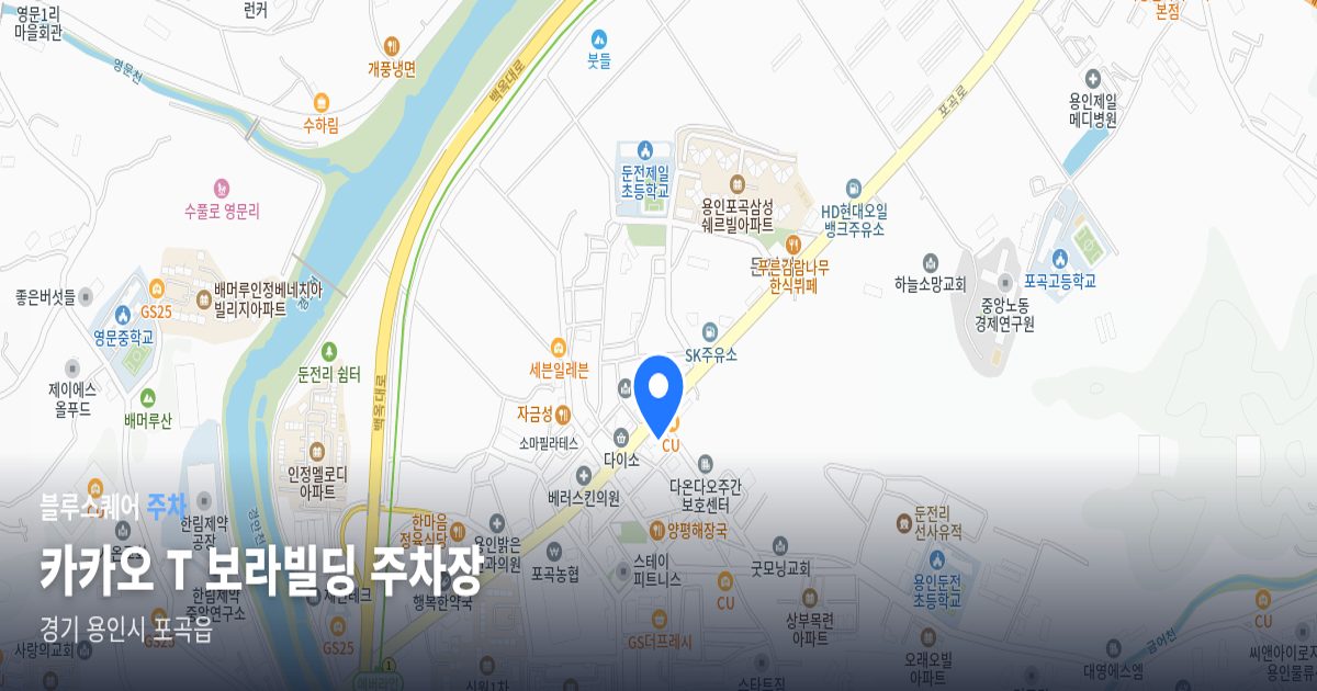 카카오 T 보라빌딩 주차장 위치 지도