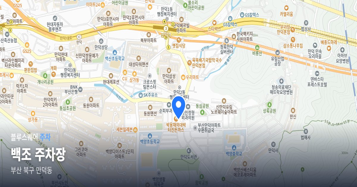 백조 주차장 위치 지도