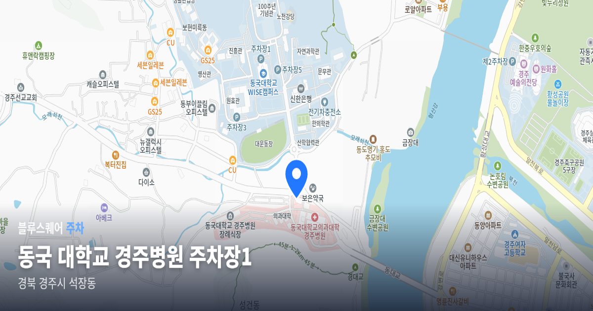 동국 대학교 경주병원 주차장1 위치 지도