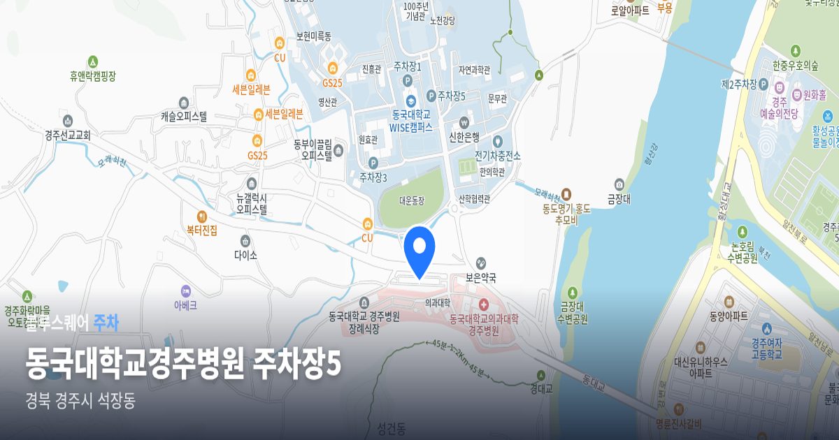 동국대학교경주병원 주차장5 위치 지도