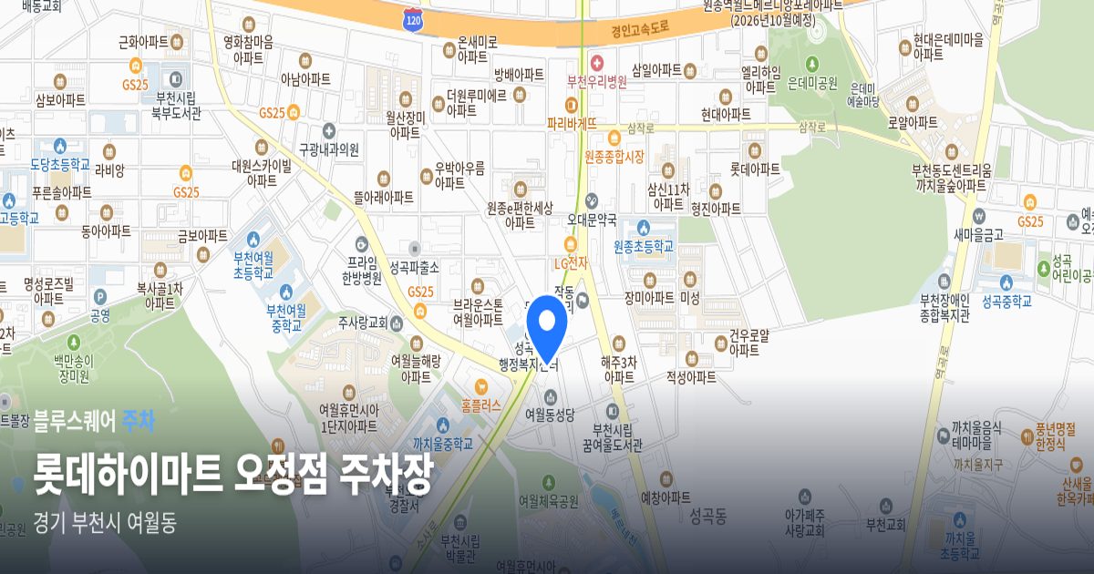롯데하이마트 오정점 주차장 위치 지도