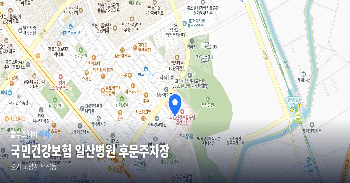 국민건강보험 일산병원 후문주차장 위치 지도