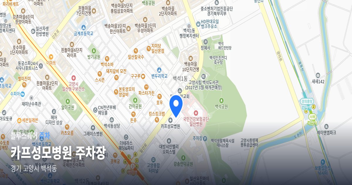 카프성모병원 주차장 위치 지도